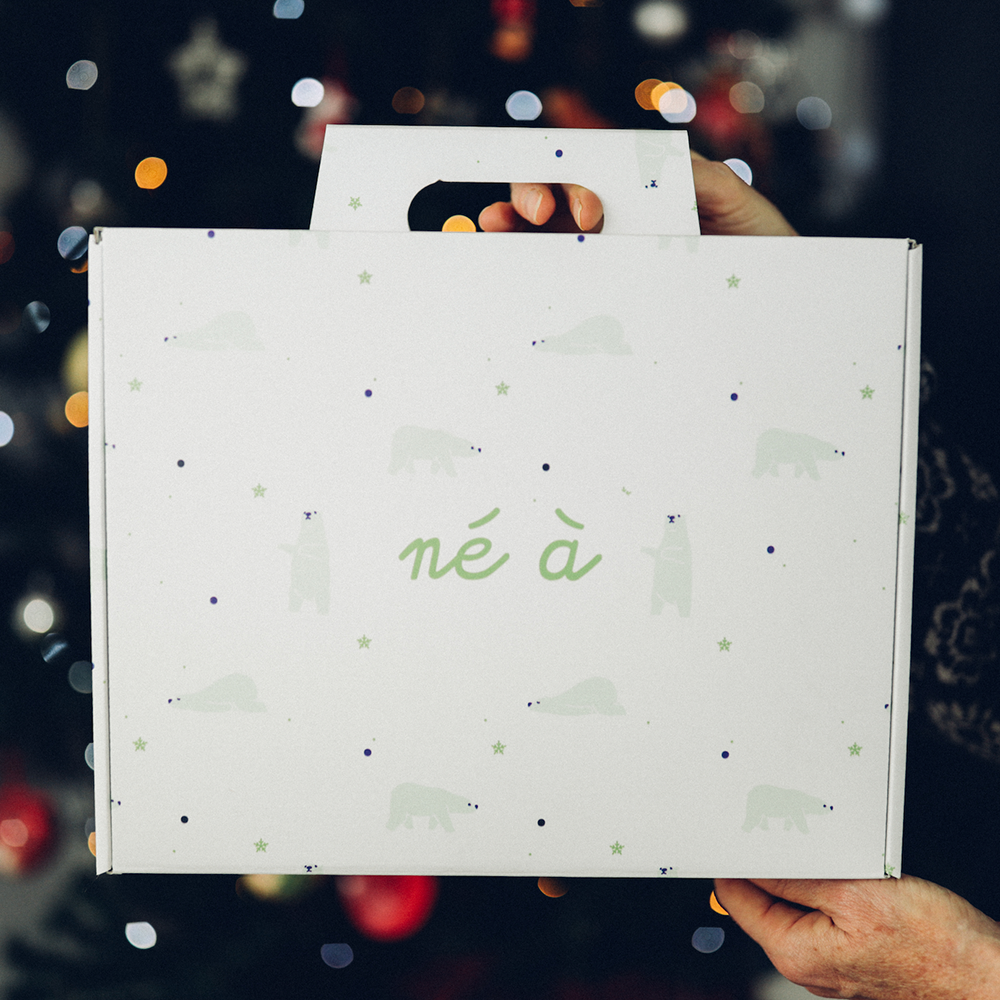 Boîte Coffret "Ours"